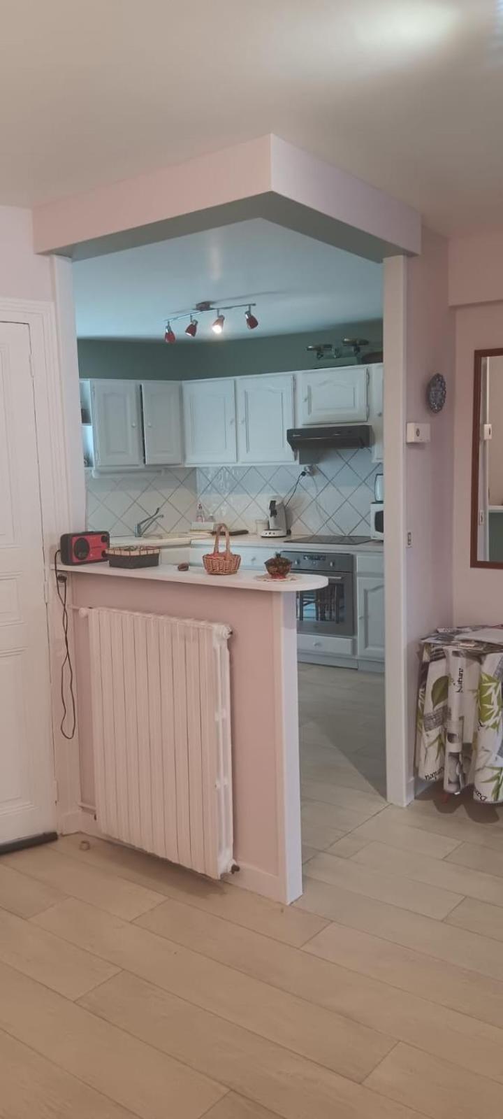 Appartement 120 M² Duplex Coeur Historique Au Calme Le Puy-en-Velay Exterior photo
